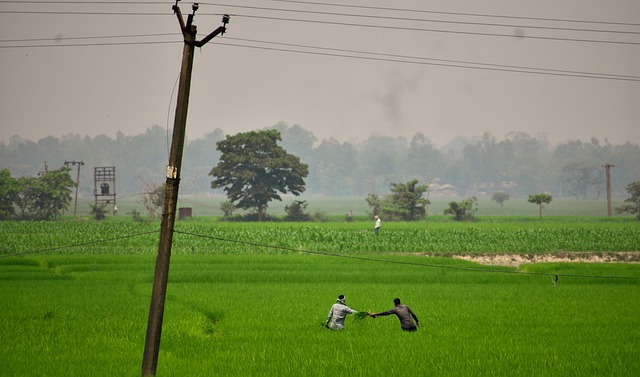 पर्यावरण निबंध